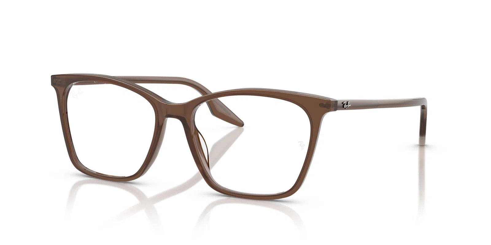 Ray-Ban 5422 Eyeglasses - view 55